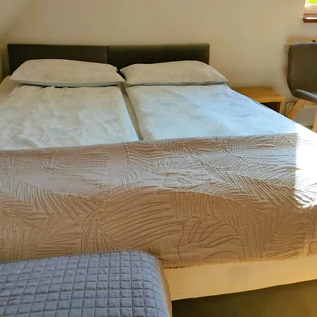 Goscinne Centrum Henryk Hadka Pansiyon Zawoja